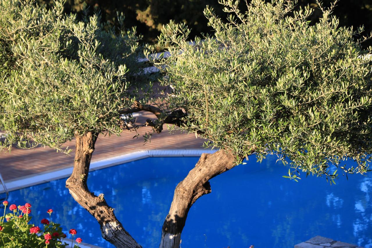 Myrto Homes Lefkada Agios Nikitas Greece Dış mekan fotoğraf